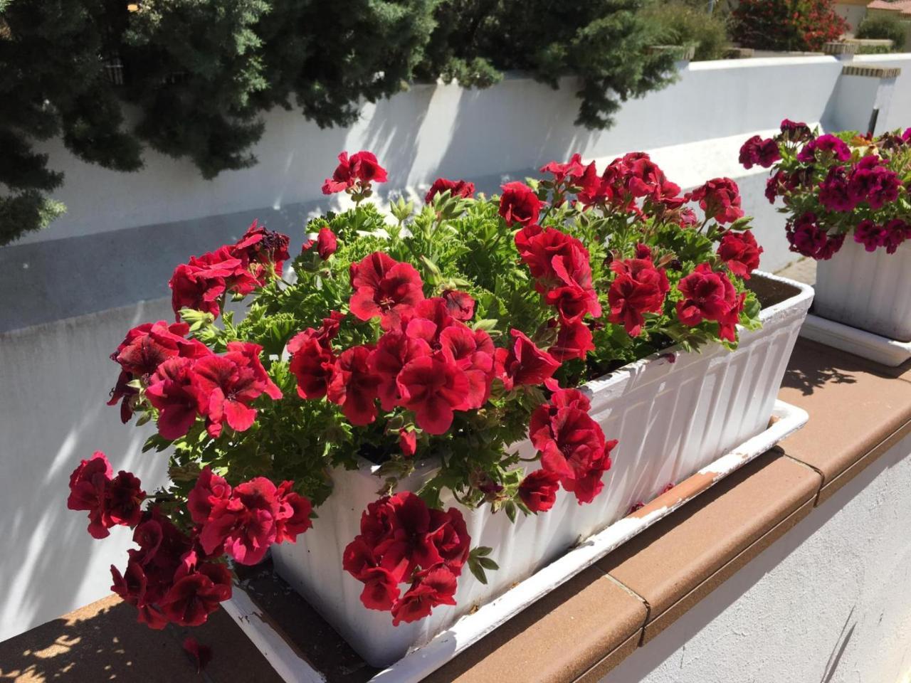 צ'יקלנה דה לה פרונטרה Hotel Marisma Sancti Petri מראה חיצוני תמונה